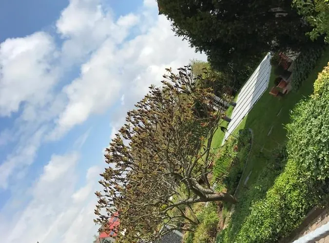 Апартаменты Meyer *